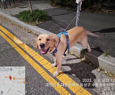 대전동물보호센터_430367202300552